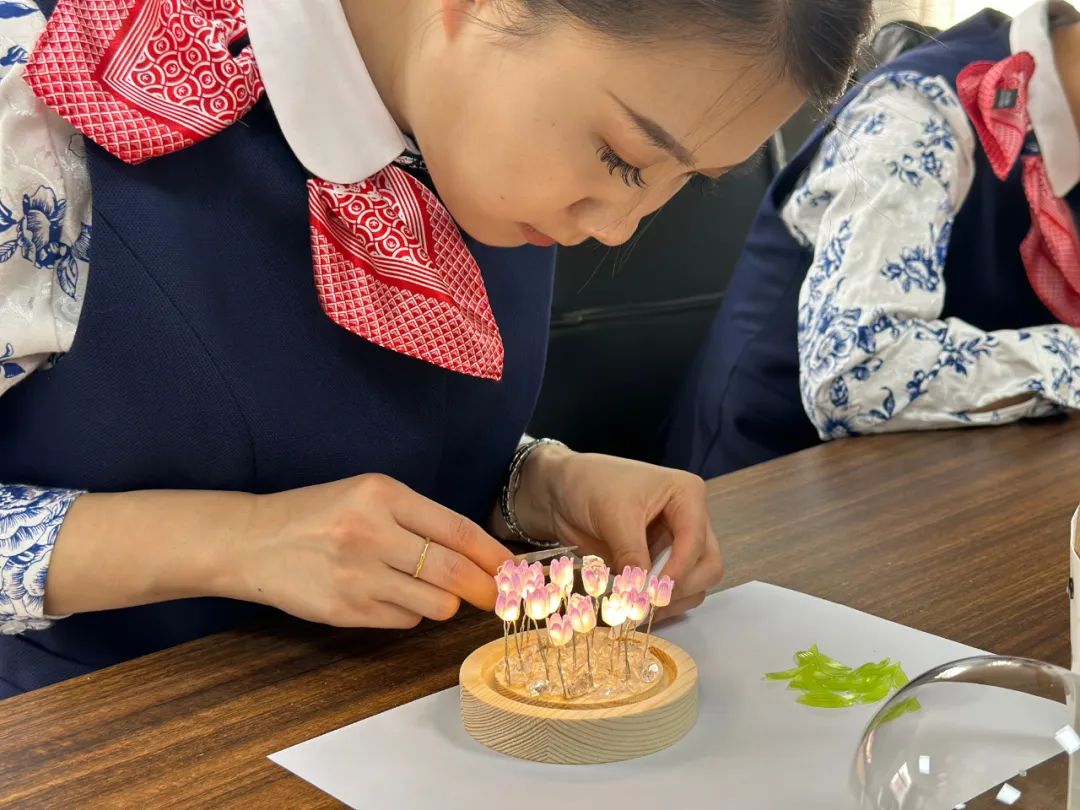 新宝lll测速登录