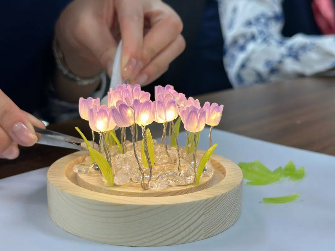 新宝lll测速登录