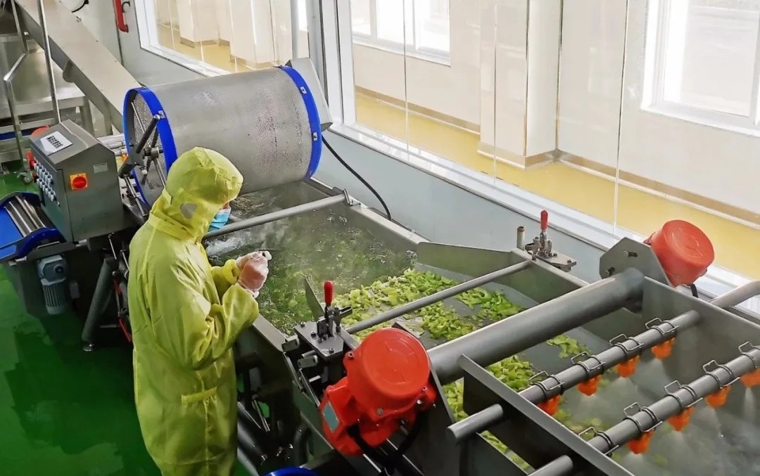 新宝lll测速登录