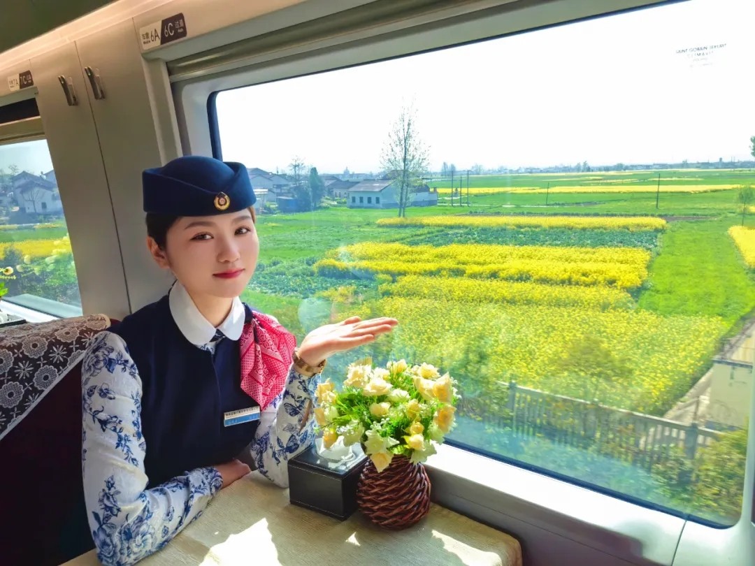 新宝lll测速登录