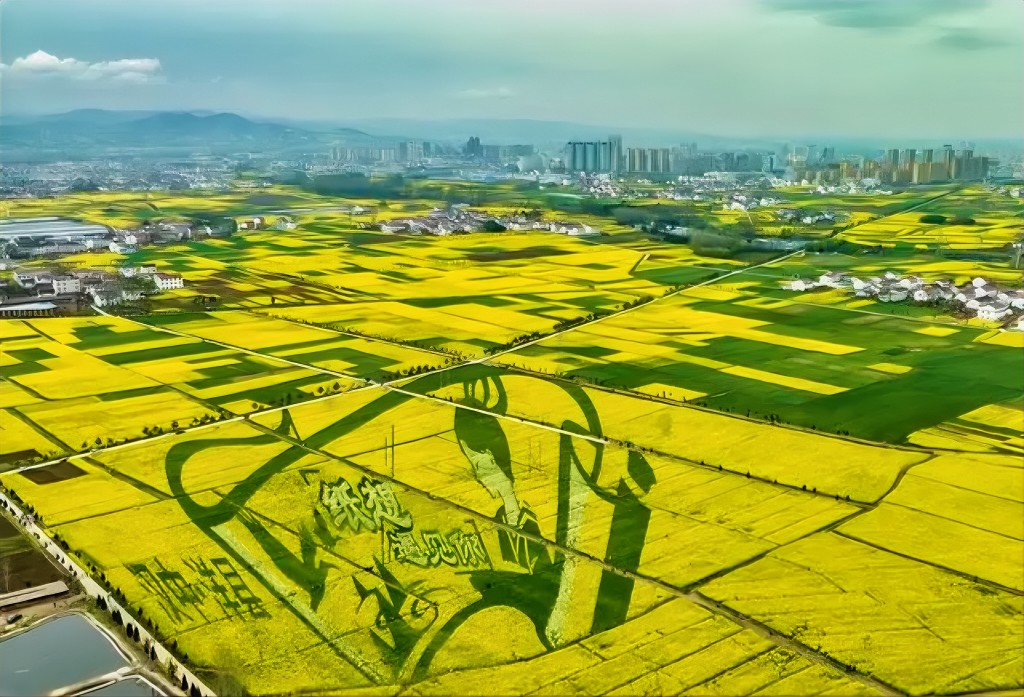 新宝lll测速登录