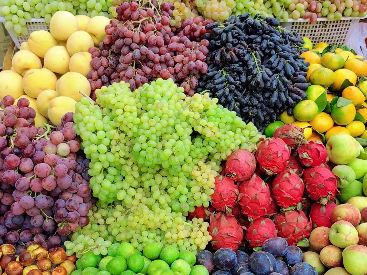 新宝lll测速登录