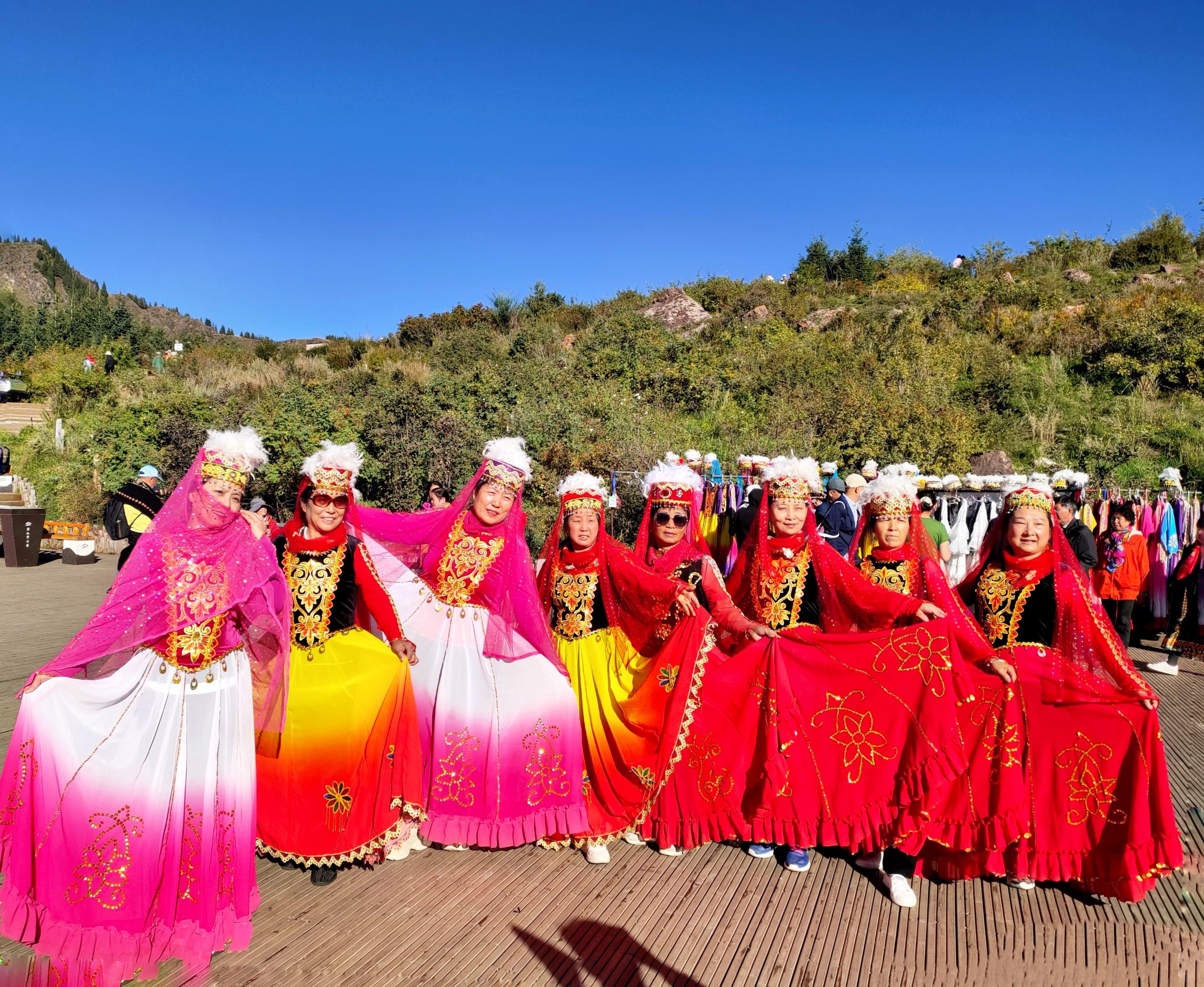 新宝lll测速登录